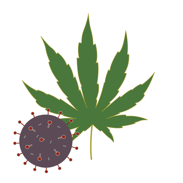 hemp leaf with COVID molecule
